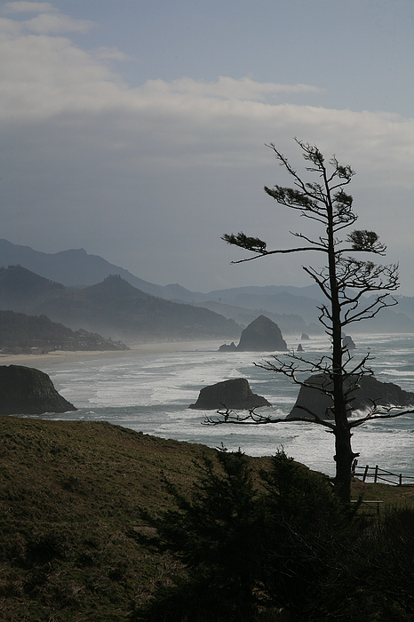 Cannon Beach by Timothy Johnson Cannon Beach by Timothy Johnson
